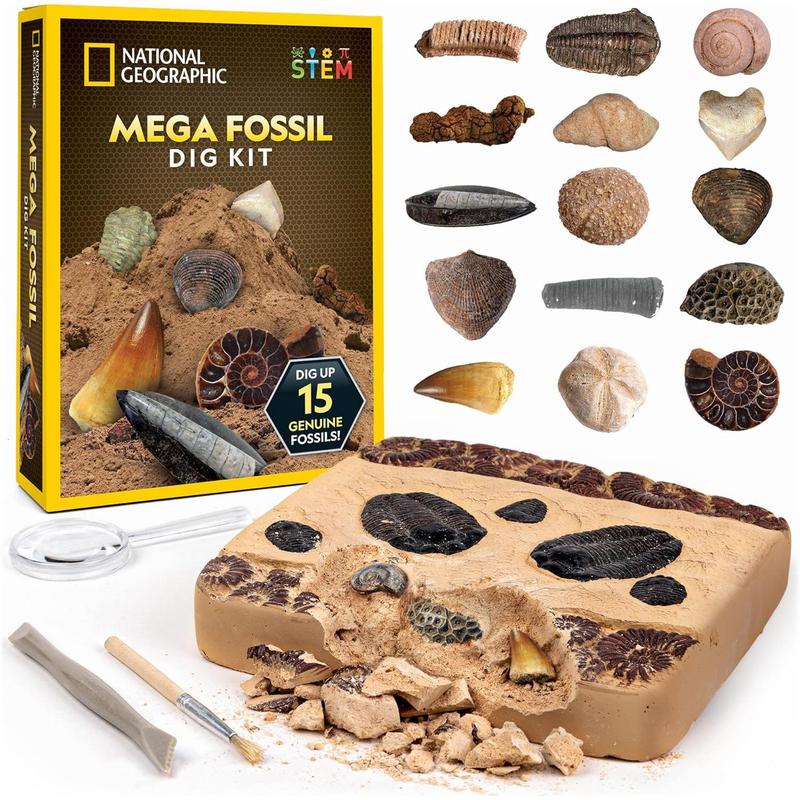 NATIONAL GEOGRAPHIC Mega Fossil Dig Kit - Excavate 15 Genuine Prehistoric Fossils, Kids Fossil Kit, Educational Toys, Great Science Kit Gift for Girls and Boys ( Exclusive)