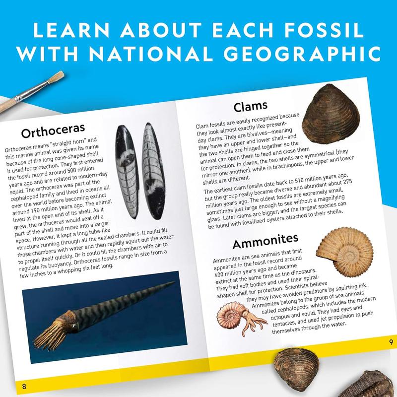 NATIONAL GEOGRAPHIC Mega Fossil Dig Kit - Excavate 15 Genuine Prehistoric Fossils, Kids Fossil Kit, Educational Toys, Great Science Kit Gift for Girls and Boys ( Exclusive)