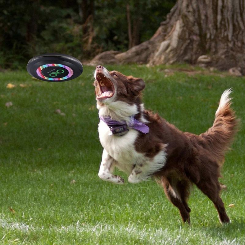 2 Counts LED Light Up Frisbee - Glow in the Dark Frisbee for Adults, Perfect for Frisbee Adventures Day and Night - Easy to Use, Great for Camping Play