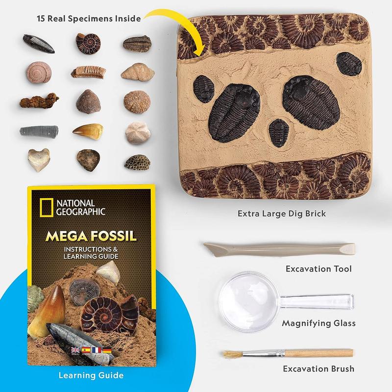 NATIONAL GEOGRAPHIC Mega Fossil Dig Kit - Excavate 15 Genuine Prehistoric Fossils, Kids Fossil Kit, Educational Toys, Great Science Kit Gift for Girls and Boys ( Exclusive)