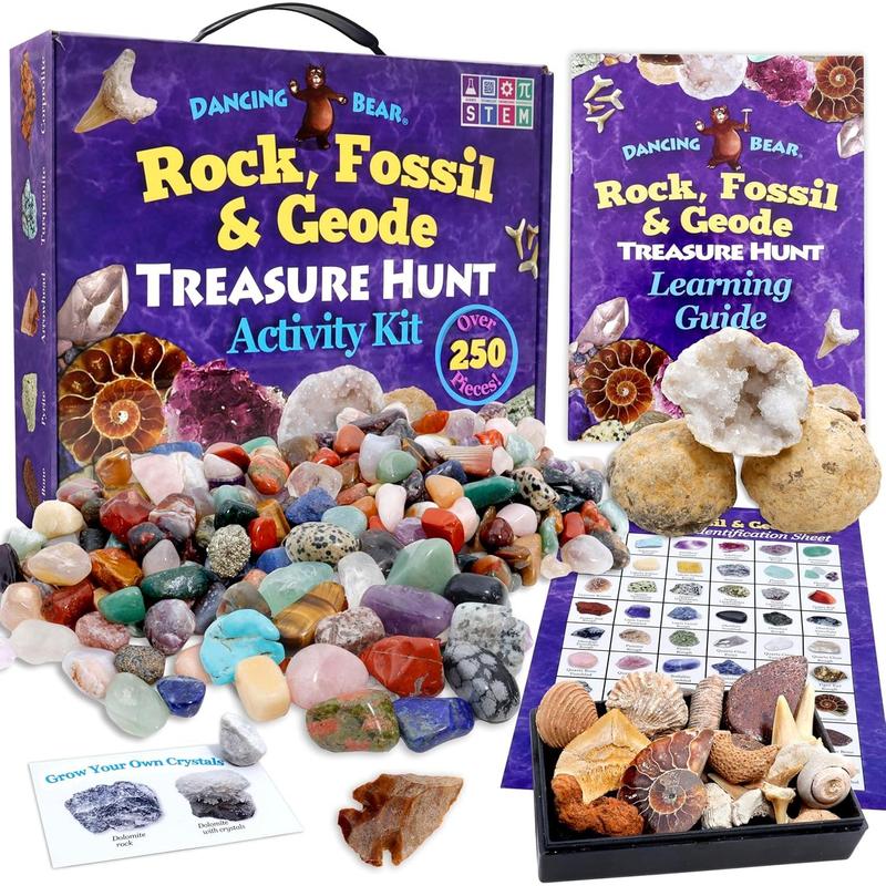 DANCING BEAR Rock, Mineral & Geodes Treasure Hunt Activity Kit (200 Pc Set) Real Shark Teeth Fossils, ID Sheet & Rock Book, STEM