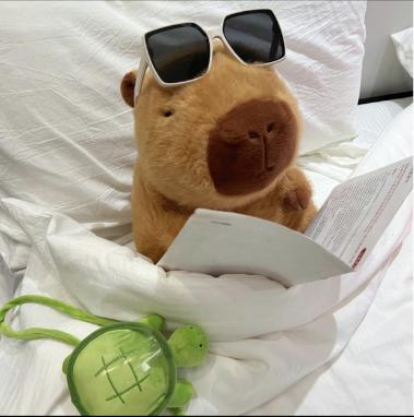 Capybara plush toys, cute simulated plush toys, soft animal decoration for family sofa and bed, pet plush, bedroom decoration