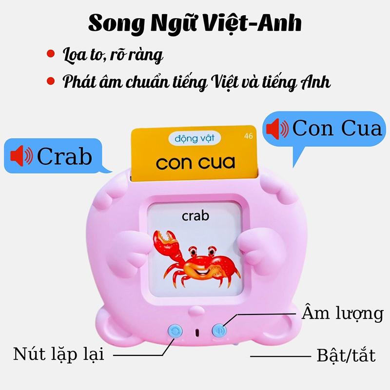 Bilingual Vietnamese English flashcard readers