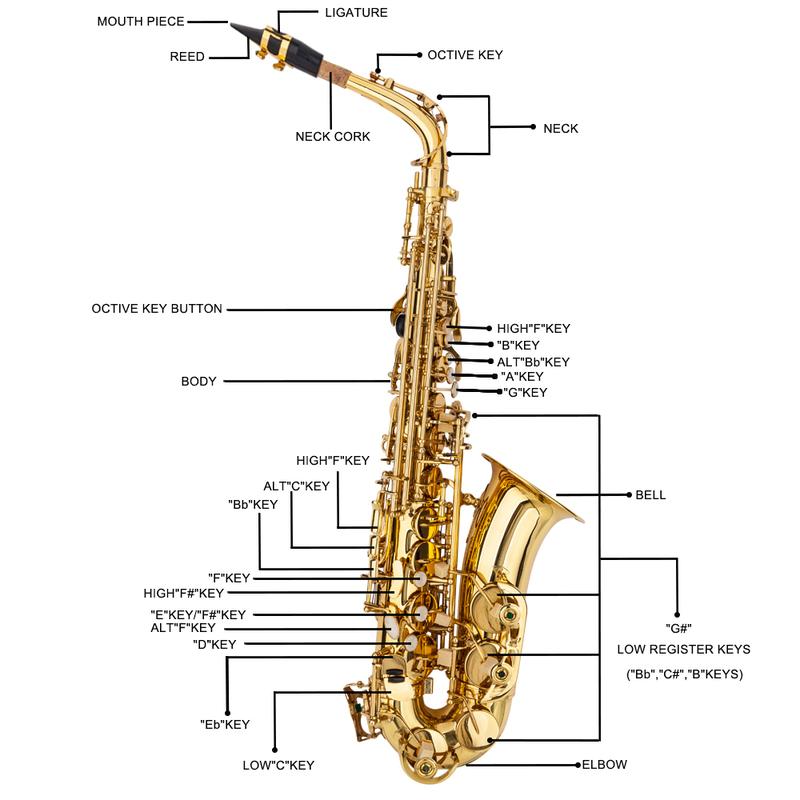 Stylish Mid-range Alto Drop E Lacquered Golden Saxophone Painted Golden Tube with Carve Patterns