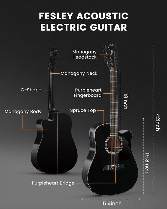 Fesley 12 String Guitar, 42