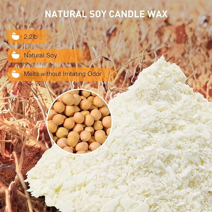 Soy Candle Wax for Candle Making, 2.2lbs Natural Soy Candle Wax, Premium Soy Wax for Candle Making, 100 Cotton Candle Wicks, 60 Wick Stickers, & 2 Wicks Holder