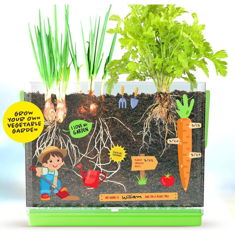 Root Viewer Kit for Kids - Grow Your Own Plant for Boys & Girls - Science STEM Toy & Craft Growing Kits for Ages 4-8 Birthday Easter Gifts for Boy, Girls 4, 5, 6, 7, 8, Year Old - Gardening Set Toys