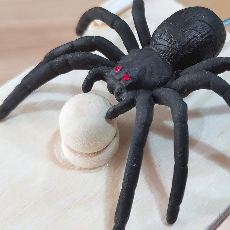 Fun Spider Money Surprise Box,Rubber Spider Prank Box,Handcrafted Spider in a Box Prank