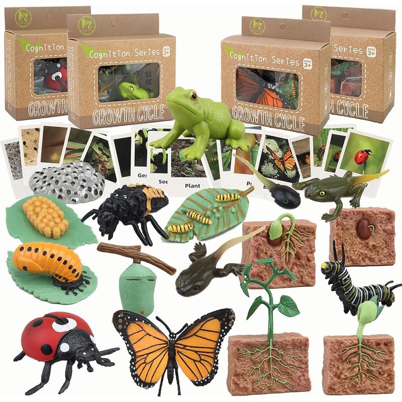 Mbrain Life Cycle Learning & Education Toys,Montessori Toys Figurines for Frog, Butterfly, Ladybug,Plants Kit,Gift for Girl & Boy for 3 4 5 Year Old