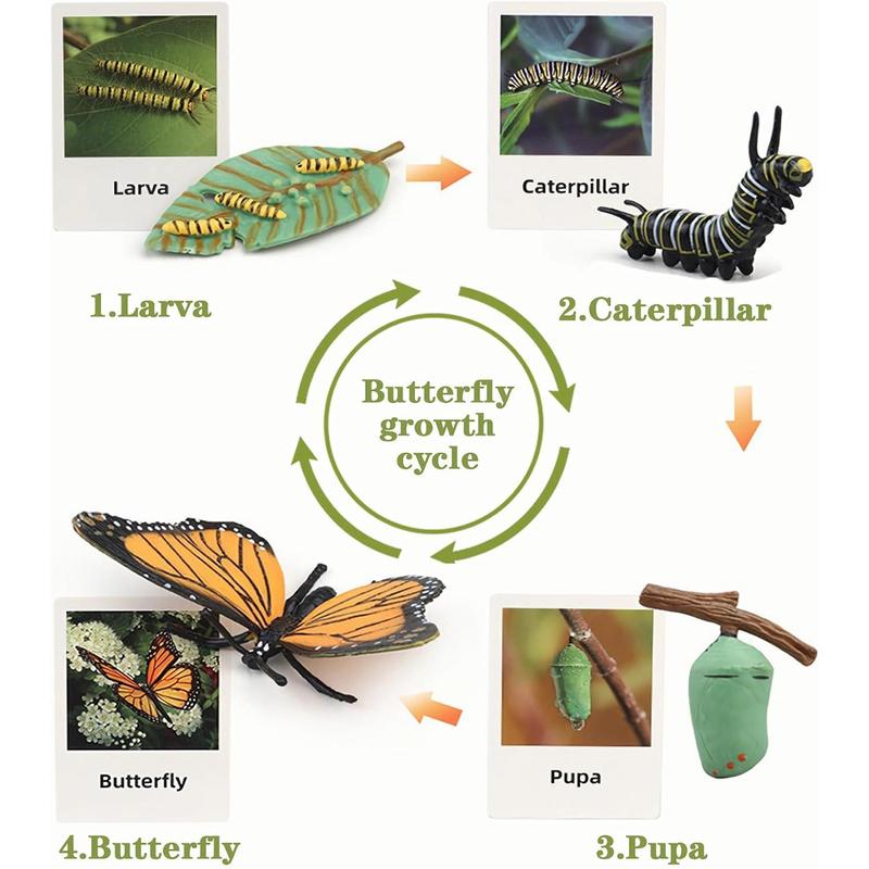 Mbrain Life Cycle Learning & Education Toys,Montessori Toys Figurines for Frog, Butterfly, Ladybug,Plants Kit,Gift for Girl & Boy for 3 4 5 Year Old