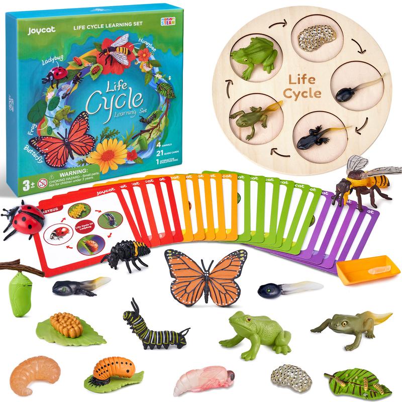 JoyCat Life Cycle Learning Education Toys, Insect Caterpillar to Butterfly kit, Bee, Tadpole to Frog Kit Life Cycle Toy, Preschool Learning Activities