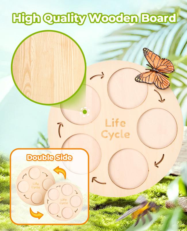 JoyCat Life Cycle Learning Education Toys, Insect Caterpillar to Butterfly kit, Bee, Tadpole to Frog Kit Life Cycle Toy, Preschool Learning Activities