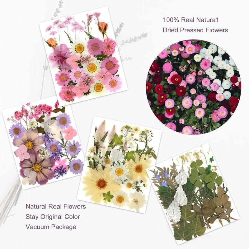 Natural Pressed Dried Flowers Resin, Dry Flowers for Resin Accessories, Dried Flower for Scrapbooking DIY Art Crafts, Epoxy Resin Jewelry Molds, Candle, Soap Making, Craft Making