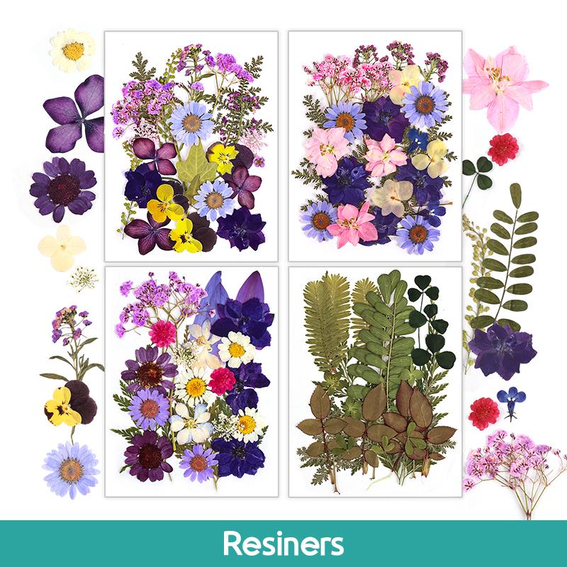 Resiners 100Pcs Dried Pressed Flowers for Resin Molds, Purple Real Pressed Flowers Dry Leaves Kit for Art Crafts Resin Jewelry Making Scrapbook Supplies Card Making Soap Candle DIY