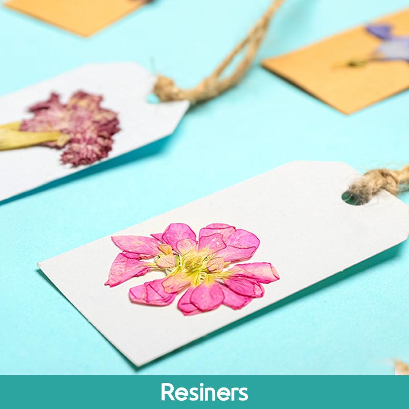 Resiners 100Pcs Dried Pressed Flowers for Resin Molds, Purple Real Pressed Flowers Dry Leaves Kit for Art Crafts Resin Jewelry Making Scrapbook Supplies Card Making Soap Candle DIY