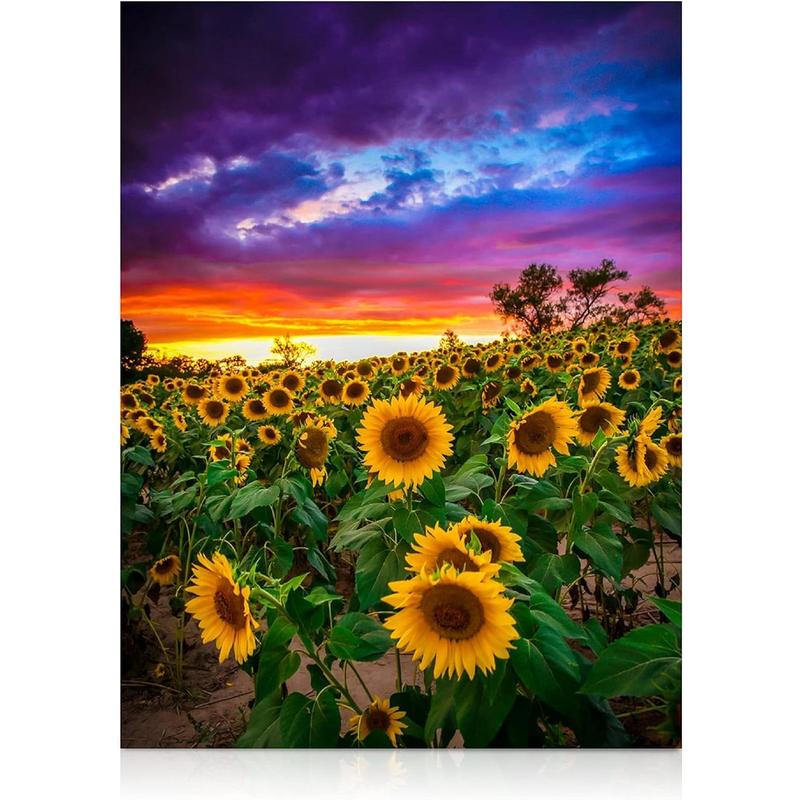 Sunflower Diamond Painting Kit DIY Diamond Art Flowers Diamond Art Paintings 30x40cm diamond art