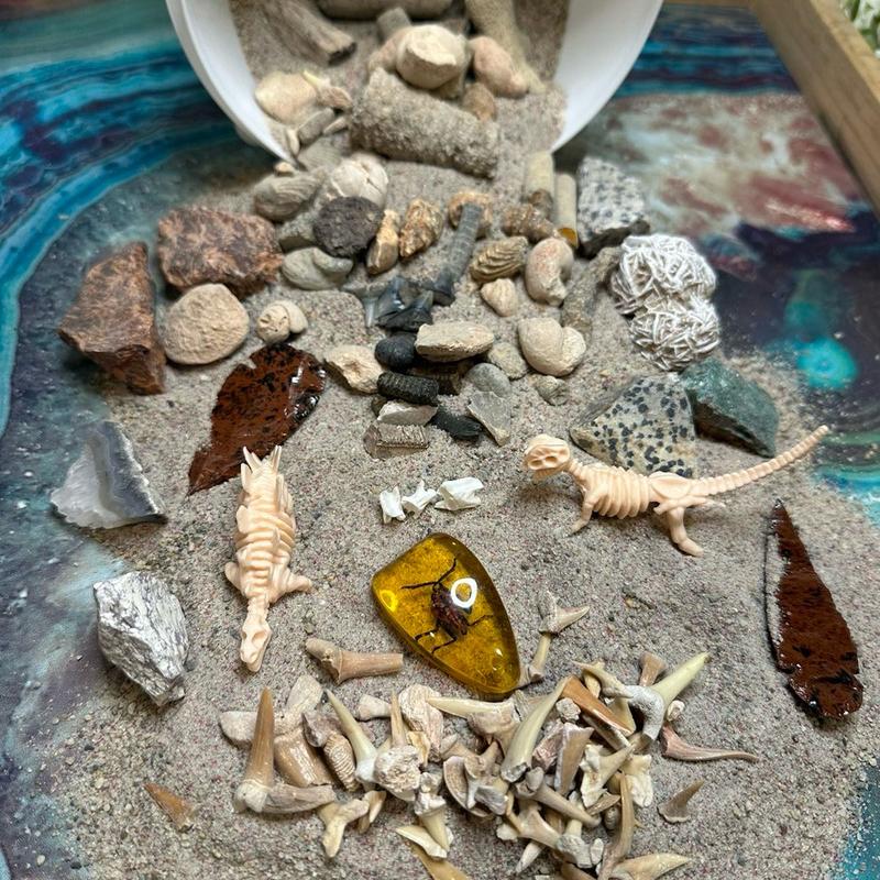 Fossil Mining Bucket -with Dinosaur Skeletons, Shark Teeth, and More natural crystal