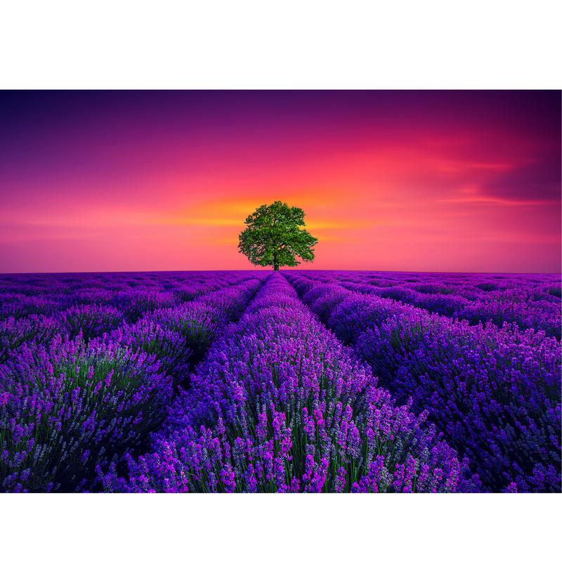 HUADADA 1000 pieces of puzzles for adults, lavender from Provence, suitable for home decoration for holiday gifts, family games, grandparents brainstorming