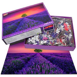 HUADADA 1000 pieces of puzzles for adults, lavender from Provence, suitable for home decoration for holiday gifts, family games, grandparents brainstorming