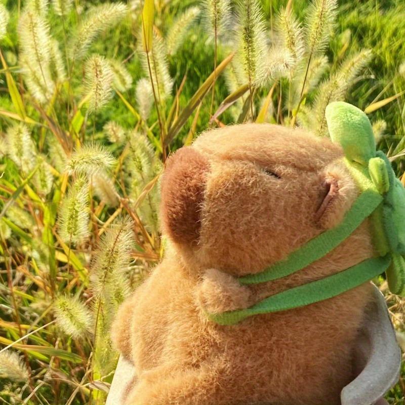 1Pcs 23cm 9.06inch Capybara Plush Doll Stuffed Animal, Super Soft Pillow, Ugly Cute Figure, Unique Creative Gift, Home Decor, Room Accessory