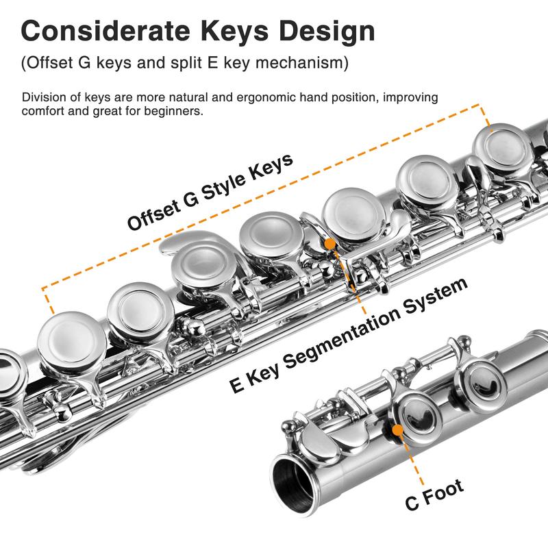 POGOLAB Flutes, Closed Hole C 16 Keys Flute Instrument, Student Flute for Beginner Advanced Player with Flute Cleaning Kit, Carry Bag, Stand, Strap, Probe Rod, Gloves