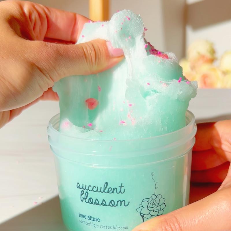 Succulent Blossom • Teal Icee Slime • Slime with Sprinkles • Baja Cactus Blossom Scented Slime