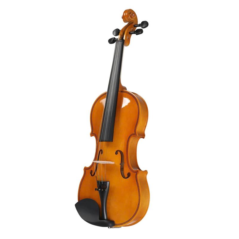 Full Size 4 4 Violin Set for Beginners & Students - Complete with Hard Case, Bow, Shoulder Rest, Rosin, Extra Strings & Mute