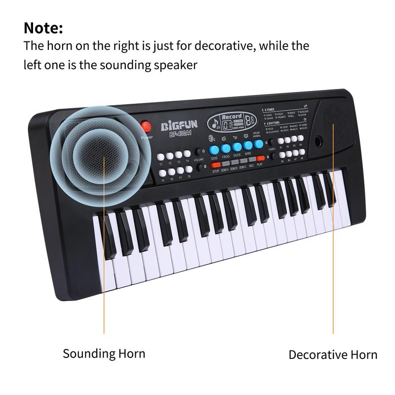 37 Key Electronic Keyboard with Microphone, USB Rechargeable Musical Instrument, Music Toy for Teenager, Musical Instrument for Beginners