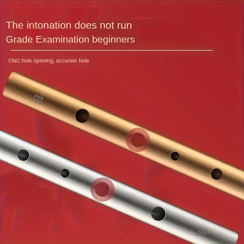 Irish Whistle, 1 Count Professional C & D Tone Harp, Wind Instrument for Band and Orchestra, Musical Instrument for Beginners & Professionals