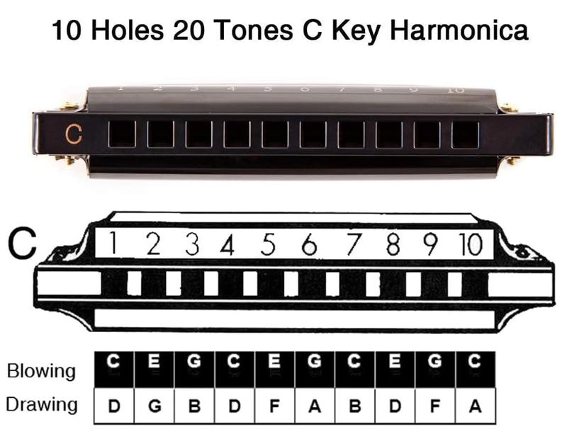 EastRock Blues Harmonica Mouth Organ 10 Hole C Key with Case, Diatonic Harmonica for Professional Player, Beginner, Students gifts, Adult, Friends, Gift Black