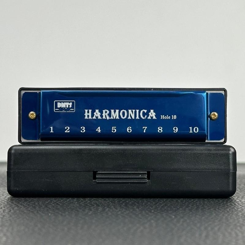 Harmonica for Beginner, 10 Hole Professional Harmonica, Musical Instrument for Beginner