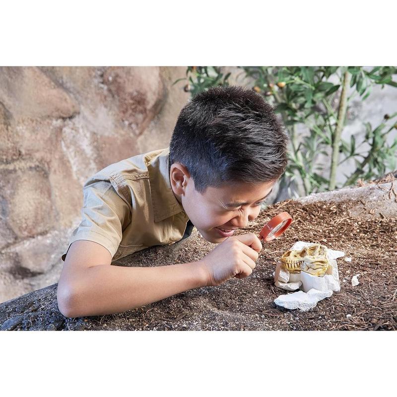 Robo Alive Mega Dino Fossil Find (T-Rex) by ZURU Dig and Discover, STEM, Excavate Prehistoric Fossils, Dinosaur Toys, Educational Toys, Great Science Kit Gift for Girls and Boys